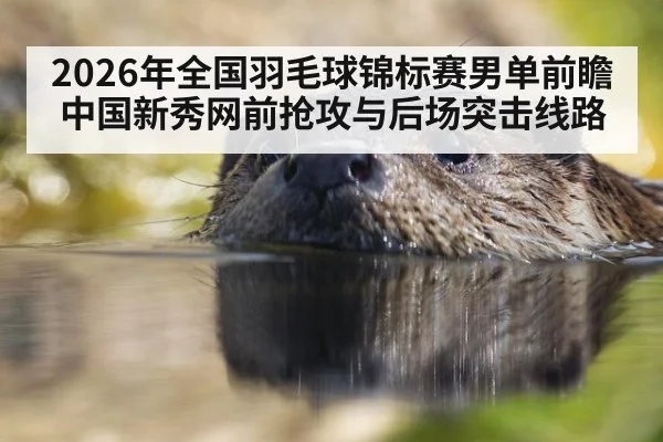 2026年全国羽毛球锦标赛男单前瞻 中国新秀网前抢攻与后场突击线路